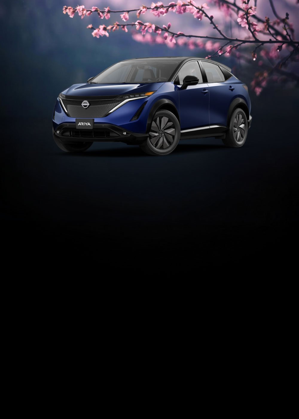 Nissan Ariya 2024