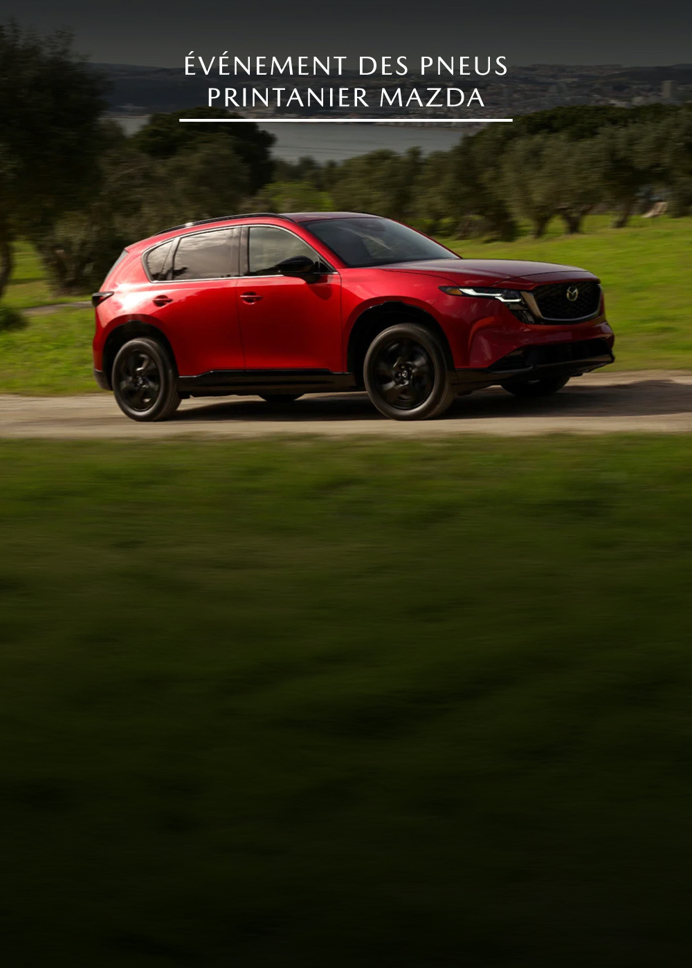 Mazda - Promotions du service