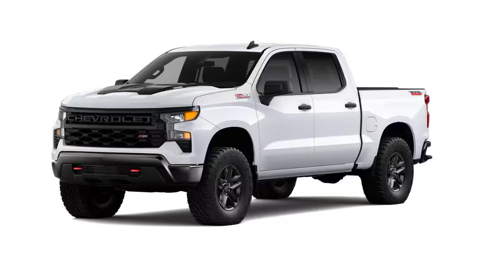 Chevrolet Silverado 1500 SILVERADO 1500 CUSTOM TB